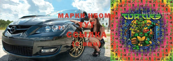 гашик Надым