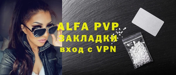 гашик Надым