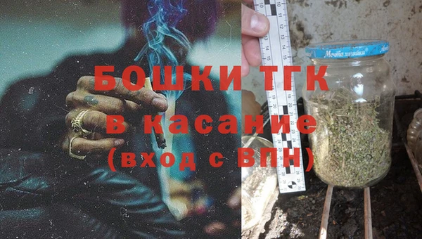 гашик Надым