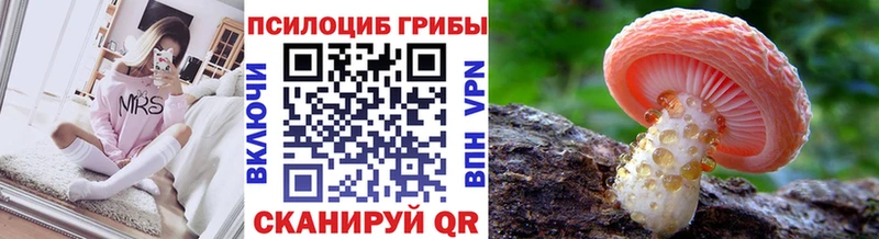 Галлюциногенные грибы Psilocybe  где продают   Снежинск 